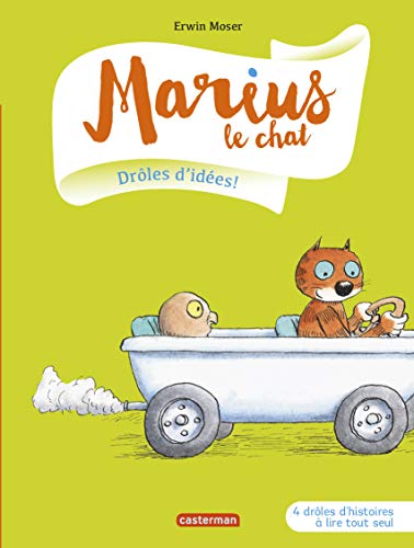 MARIUS LE CHAT